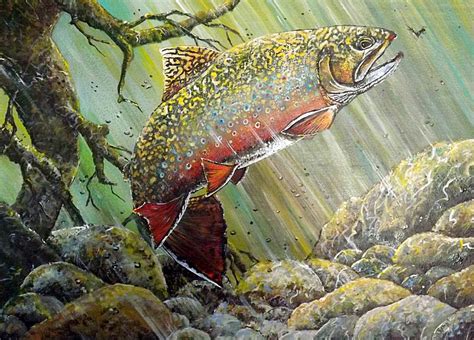 Brook Trout Painting By D Michael Meinders Pixels