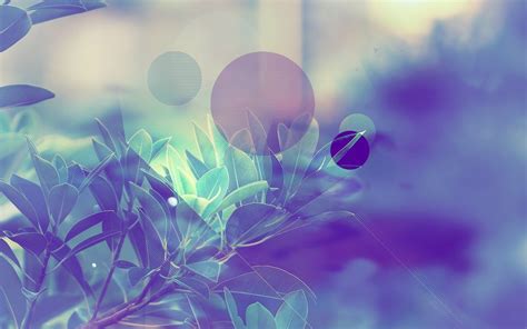 Pastel Wallpapers 74 Background Pictures