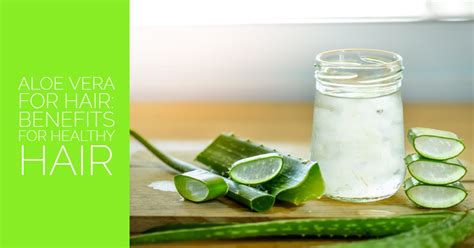 Aloe Vera for Hair: Benefits for Healthy Hair - Sandra Bloom