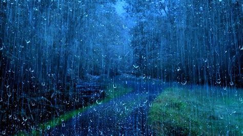 Deep Sleep Instantly With Heavy Rain In The Foggy Forest At Night