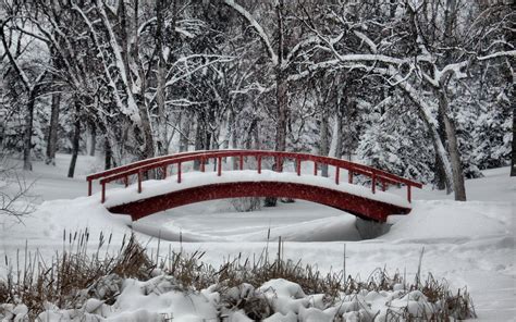 Winter Wonderland Backgrounds Wallpaper Cave