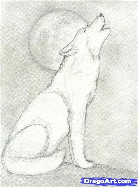 Lobo Aullando A La Luna Manualidades Desenhos A Lápis Simples