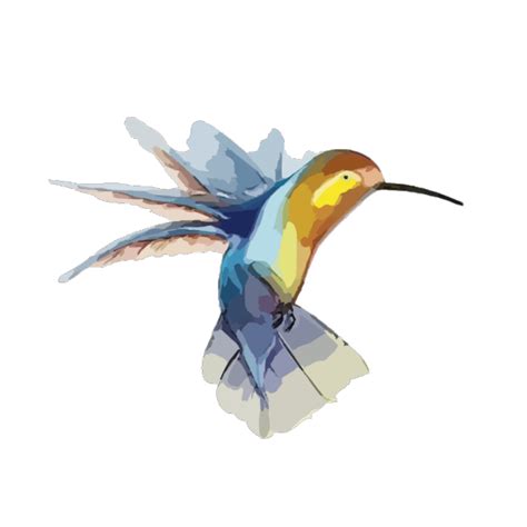 Perched Hummingbird Png Svg Clip Art For Web Download Clip Art Png