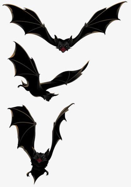 Halloween Bats Fly Png Bat Bats Clipart Black Fly Clipart