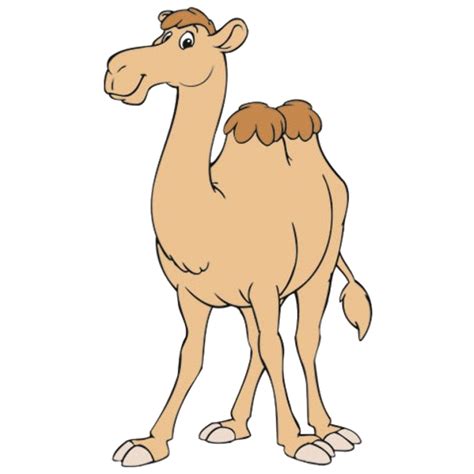 Funny Camel Clipart Pictures 2 Wikiclipart