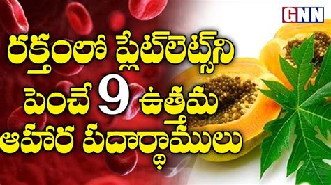 9 Foods That Increase Blood Platelets Count Naturally Health Tips