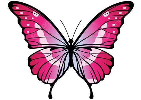 Galería De Imágenes De Hermosa Mariposa Rosa Vector PNG dibujos