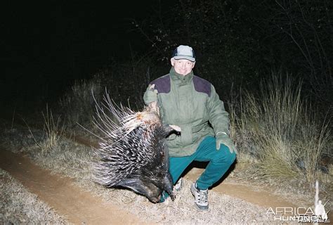 Hunting Porcupine With Wintershoek Johnny Vivier Safaris In Sa