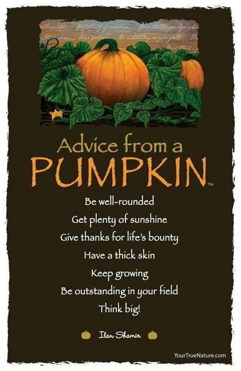 Cosy Autumn Vibes Pumpkin A Pumpkin Autumn Quotes