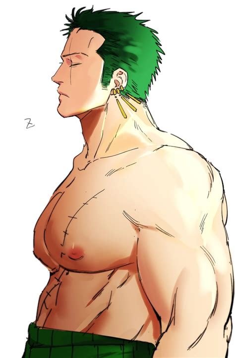 Roronoa Zoro One Piece Drawn By Sweetdou3 Danbooru