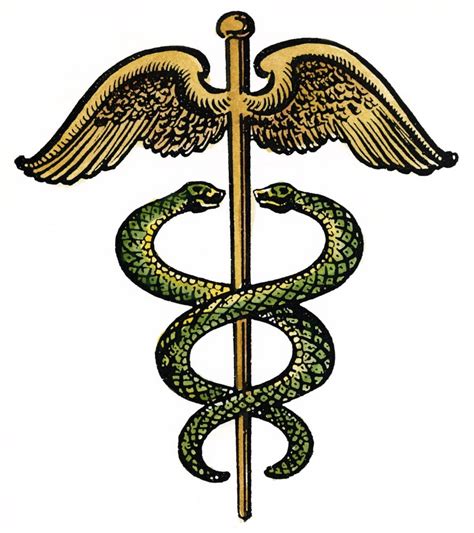 The Caduceus Nan Insignia Modeled On Hermes Staff And Used As The