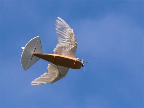 ‘pigeonbot Uses Real Feathers To Fly Like A Bird Smart News