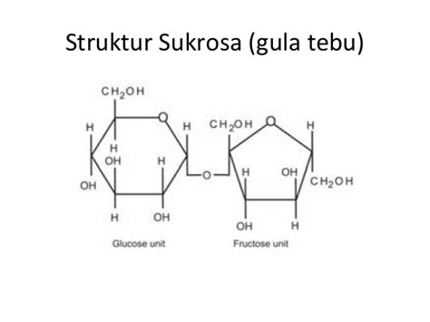 Inilah Perbedaan Glukosa Fruktosa Sukrosa Dan Laktosa Yang Perlu