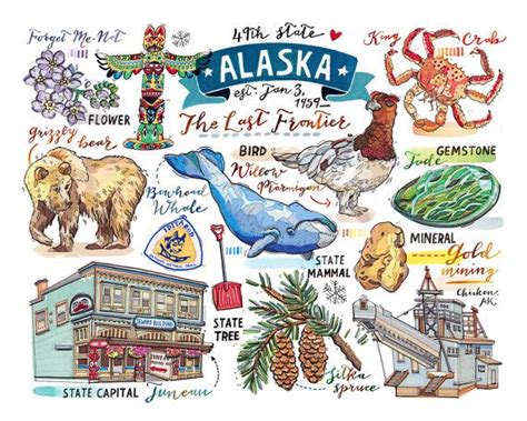 Alaska Print Illustration Map State Symbols Bird Flower Etsy