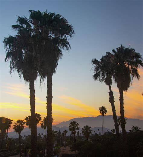 Sunset With Palm Trees Riverside California Photograph By William Reagan