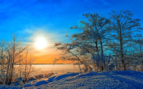 Winter, trees, snow, sunset, blue sky wallpaper | nature and landscape ...