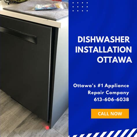 Dishwasher Repair And Installation Services In Ottawa Art Of The Zoo