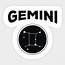 Zodiac Sign Gemini  Sticker TeePublic