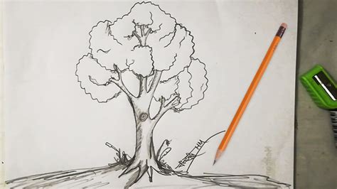 9 simple sketch pictures as a reference for you who are easy. How to Draw Easy and Simple tree sketch For Beginners with ...