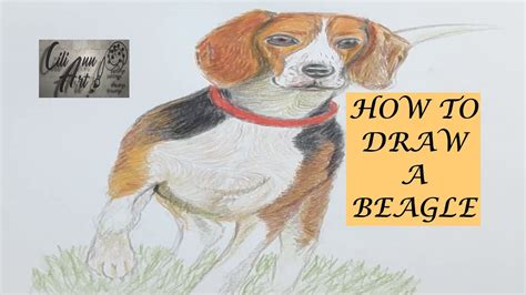 How To Draw A Beagle Easy 🎨 Step By Step Dog Drawing Tutorial Youtube