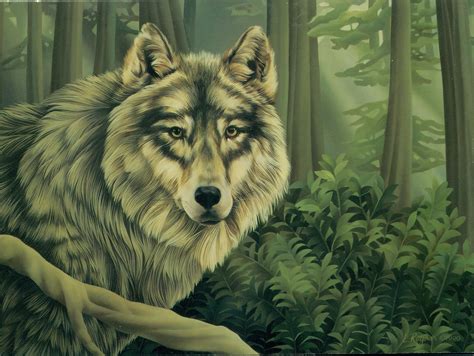 Grey Wolf Painting Wallpaper Animals Wallpaper Better