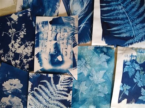 5 Simple Steps For Getting Started With Cyanotype Printing — Kate