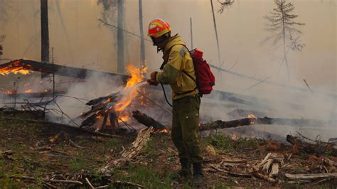 Siberia Forest Fires Fueled By Historic Drought Heatwave The Moscow