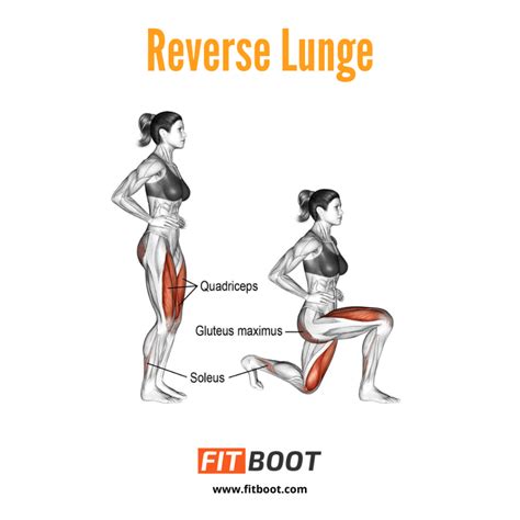 Reverse Lunges Muscles Worked