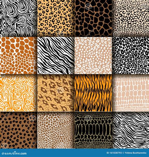 Vector Set Of Animal Skin Textures Of Tiger Zebra Giraffe Leopard