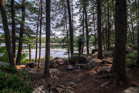 Eastern Pine Trail Johnston Lake Algonquin Park Camping