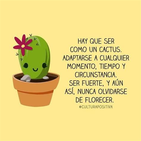 Soy un bellísimo Cactus floreciendo en 2020 Frases bonitas