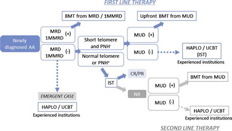 Updated Guidelines For The Treatment Of Acquired Aplastic Anemia In