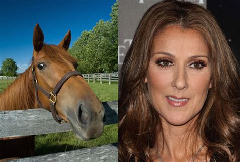 11 Celebrities Who Look Like Horses The Hollywood Gossip