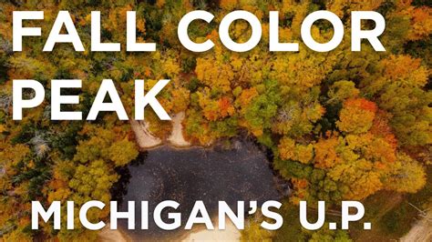 learn fall leaves and photography tips in the michigan upper peninsula ~ peak color photography