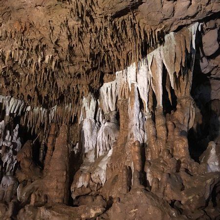 Until sunset, 365 days a year. Florida Caverns State Park (Marianna) - 2018 All You Need ...