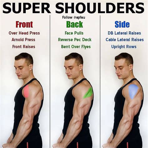 There Are Three Different Types Of Shoulder Shoulders And The Same Type