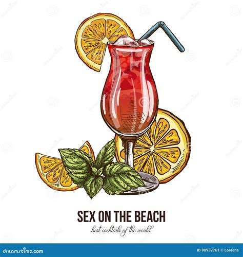 Sex On The Beach Cocktail With Mint And Orange Stock Vector