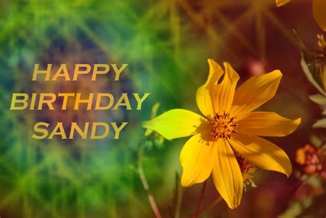 Happy Birthday Sandy Birthday Quotes Birthday Cards Happy Birthday