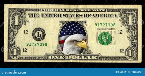 Bald Eagle Dollar Bill Stock Image Image Of Stripes Flag 5586141