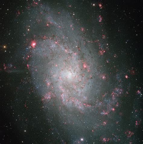 The Triangulum Galaxy Is A Faint Cosmic Swoon Omega Level