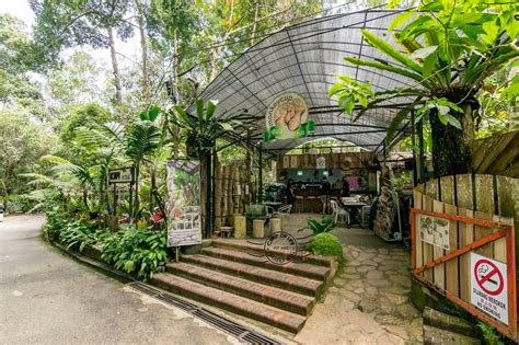 Your guide to penang's best restaurants, hawker food, bars, heritage attractions, activities and entertainment. The Cafe in the Highest Point of Penang - Kopi Hutan ...