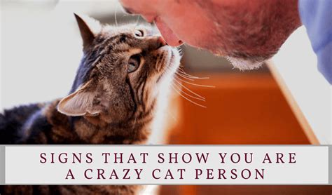 Pin By Florence Lainé On Dossier A Voir Cat Person Cats Crazy Cats