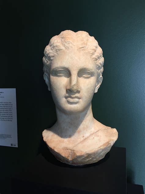 Marble Greek Head From The Getty Villa In La Sculpture Getty Villa