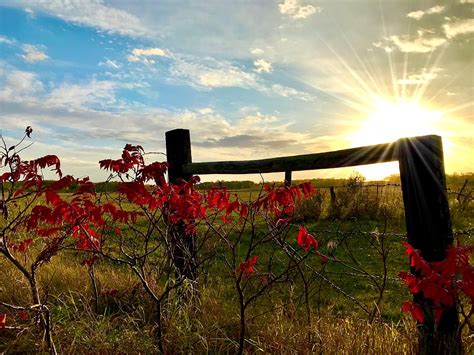 Country Evening Photograph By Sharon Kotula Fine Art America