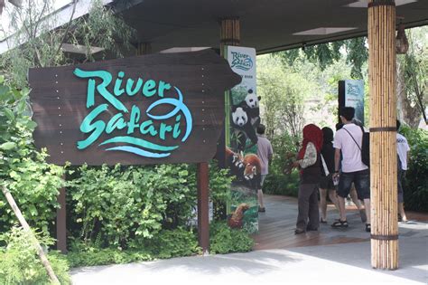 River Safari And Singapore Zoo First Time Travels