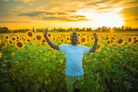 wod anaka on twitter sunflowers and sunsets sunflowers sunsets photograghy