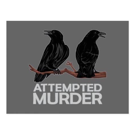 Two Crows Attempted Murder Postcard Au