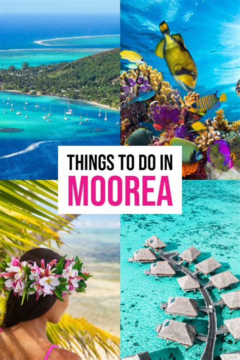 Things To Do In Moorea French Polynesia Honeymoon Bora Bora French
