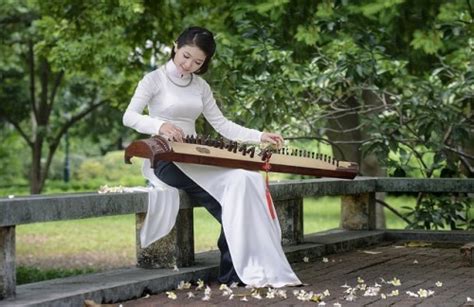 The 16 String Zither Traditional Vietnamese Musical Instrument