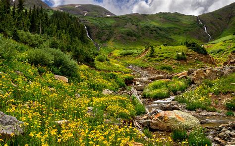 Mountains Trees Forest Stream Rocks Grass Field Flowers Nature